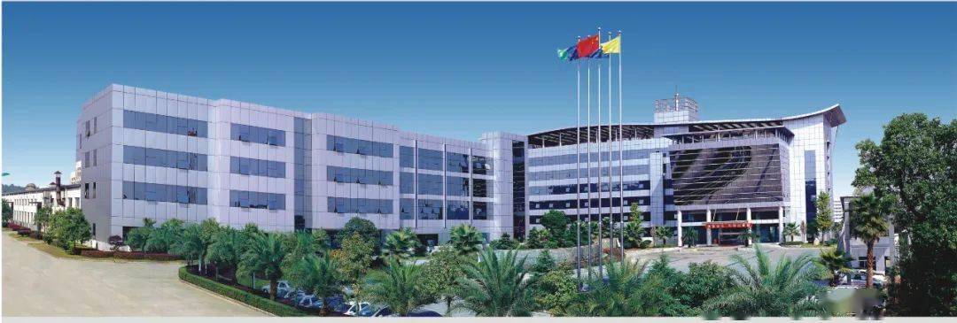 “大树”为何常青？时代新材 以创新为根，以服务为叶，永立新材料技术潮头