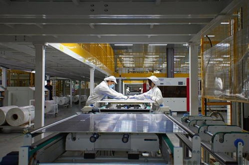 光伏企业的生存之道 从重资产到轻资产，靠专利突围中东市场